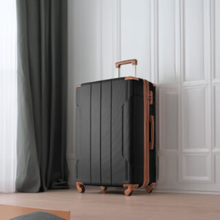 Hardshell Luggage Spinner Suitcase with TSA Lock Lightweight Expandable 24'' (Single Luggage) Black Brown + ABS + 24 Inch